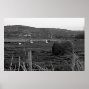 Impressão dos dias do feno