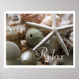 Impressão dos Seashells