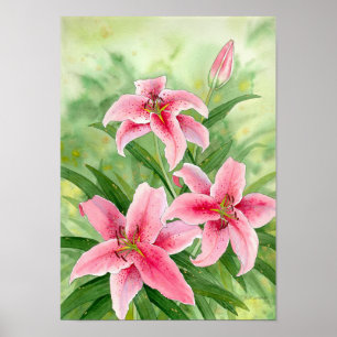 impressão dos stargazerlilies
