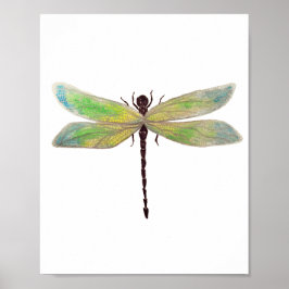 Impressão Dragonfly 8x10