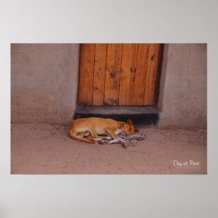 Impressão e poster do cão em repouso