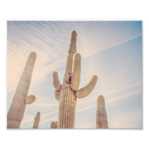 Impressão elevado da foto dos cactos do Saguaro