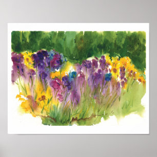Impressão em Aquarela do Jardim de Íris - 11 x14