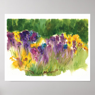 Impressão em Aquarela do Jardim de Íris - 11 x14