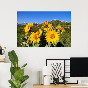 Impressão em Moldura de Arrowleaf Balsamroot