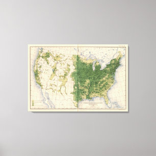 Impressão Em Tela 149 cavalos, mulas, milha de asses/sq