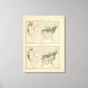 Impressão Em Tela 175 cerejas, uvas, regiões principais