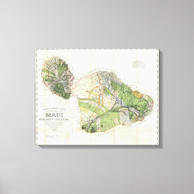 Impressão Em Tela 1885 De Witt Alexander Wall Map of Maui, Havaí (Frente)