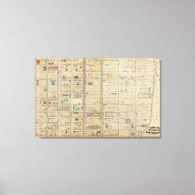 Impressão Em Tela 20 Ward 19 (Frente)