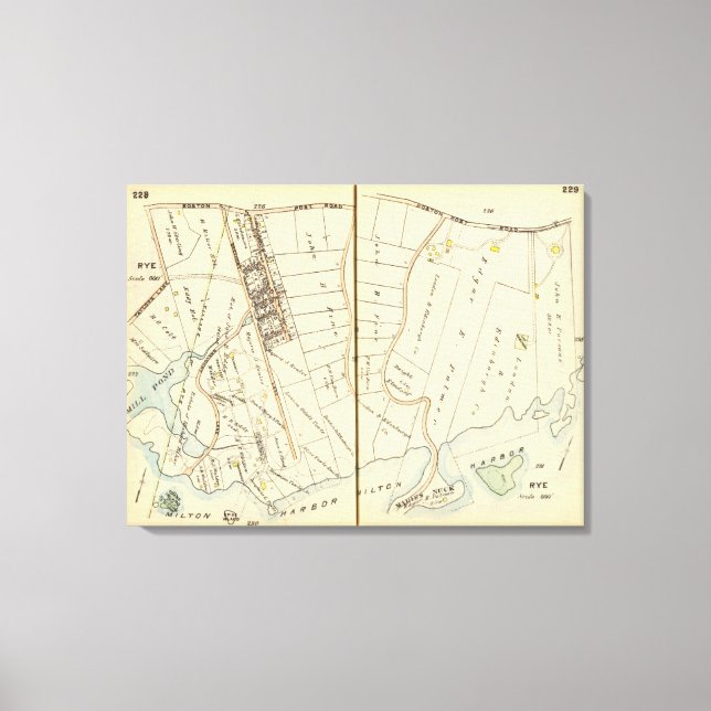 Impressão Em Tela 228229 Centeio (Frente)