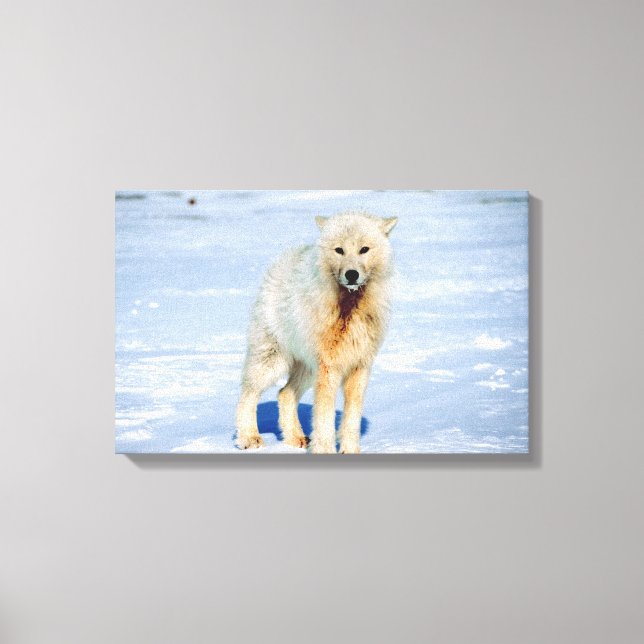 IMPRESSÃO EM TELA 23872553 (Frente)