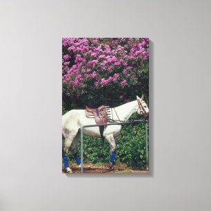 IMPRESSÃO EM TELA 23893981