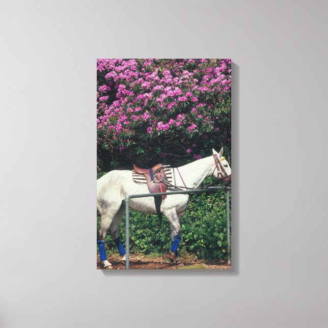 IMPRESSÃO EM TELA 23893981 (Frente)