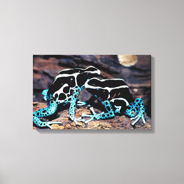 IMPRESSÃO EM TELA 23898179 (Frente)