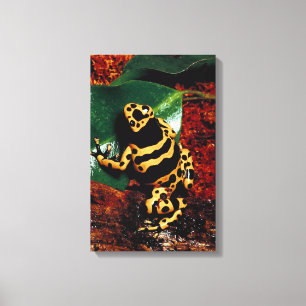 IMPRESSÃO EM TELA 23898189