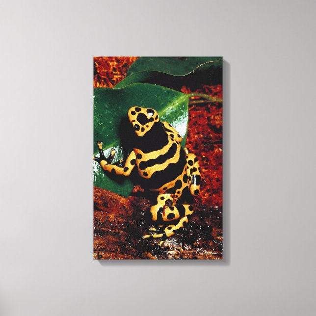 IMPRESSÃO EM TELA 23898189 (Frente)