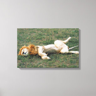 IMPRESSÃO EM TELA 23899172