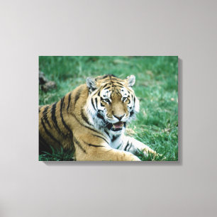 IMPRESSÃO EM TELA 24103189