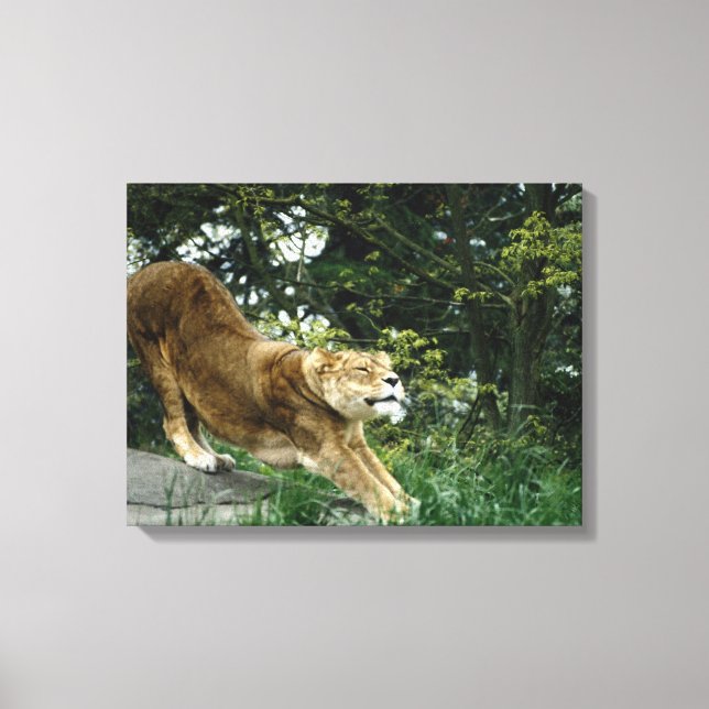 IMPRESSÃO EM TELA 24114343 (Frente)