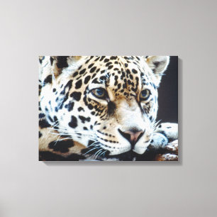 IMPRESSÃO EM TELA 24114363