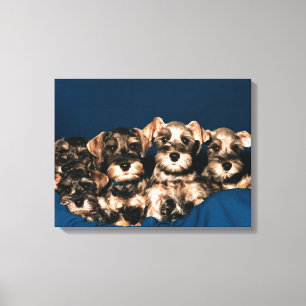 IMPRESSÃO EM TELA 24117057