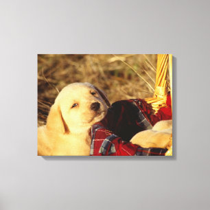 IMPRESSÃO EM TELA 24117967