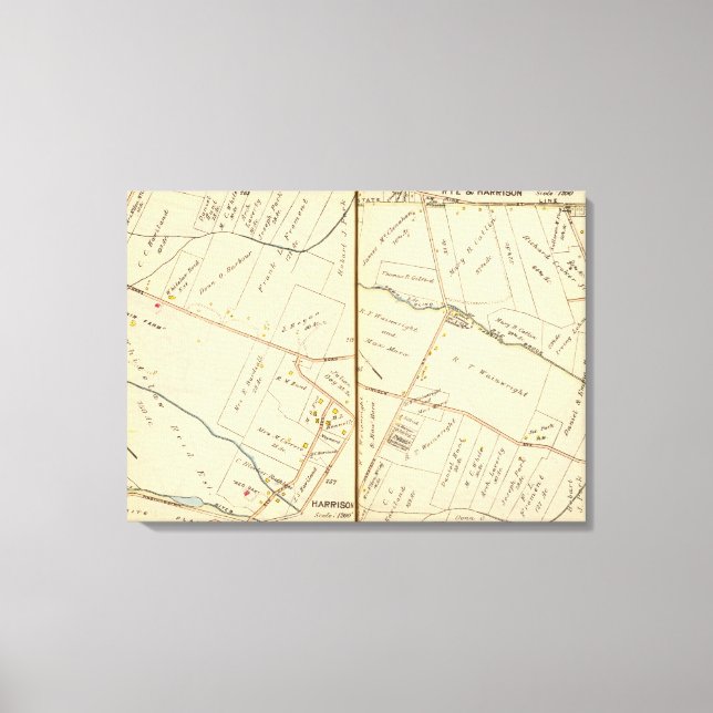 Impressão Em Tela 262263 Rye, Harrison (Frente)