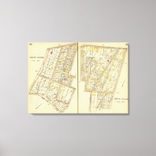 Impressão Em Tela 30-31 Planícies Brancas (Frente)