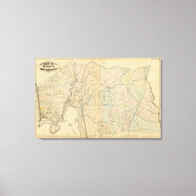 Impressão Em Tela 39 Ward 24 (Frente)