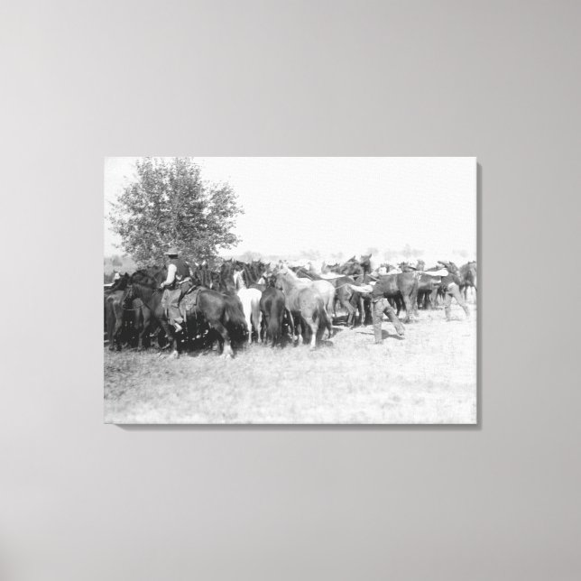 Impressão Em Tela 3 Cowboys Roping Horses FotografiaDakota do Sul (Frente)