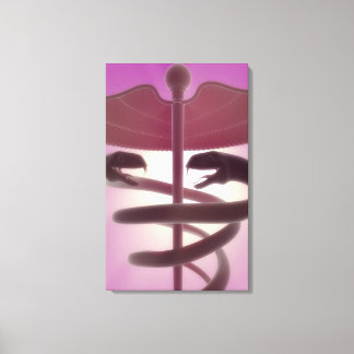 Impressão Em Tela 3d caducee medicinal