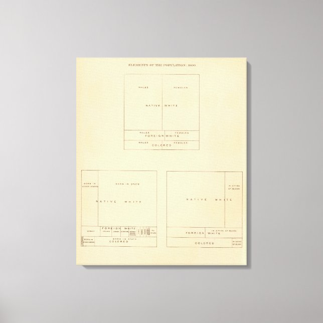 Impressão Em Tela 41 Elementos da população 1900 (Frente)