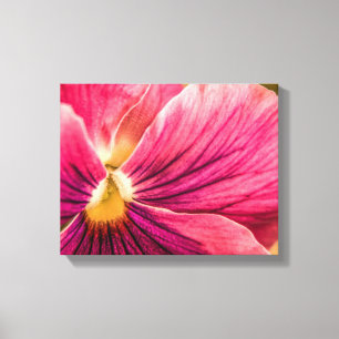 Impressão Em Tela 5880-Red Pansy