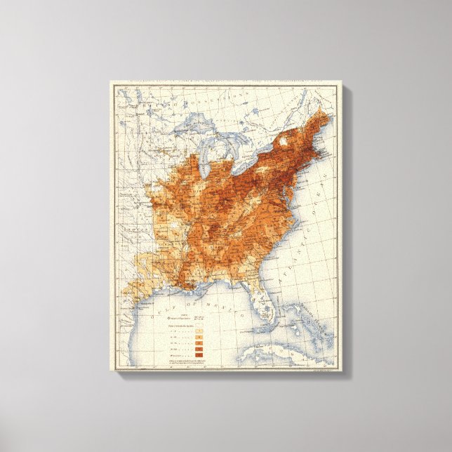 Impressão Em Tela 8 População 1850 (Frente)