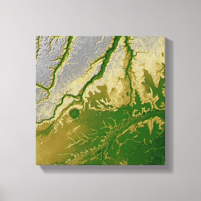 Impressão Em Tela A Amazônia boliviana (Frente)