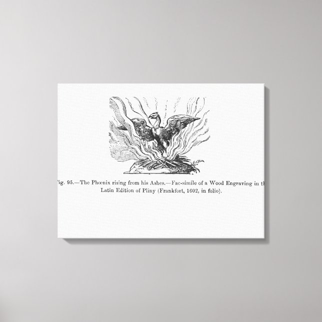 Impressão Em Tela A ascensão Phoenix de suas cinzas (Frente)