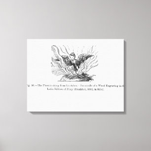 Impressão Em Tela A ascensão Phoenix de suas cinzas