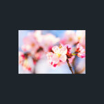 Impressão Em Tela A Beleza Brilhante Das Flores De Sakura Rosa<br><div class="desc">Um monte de flores e botões de sakura cor-de-rosa macio em uma ponta de um galho. O fundo suave da cereja floresce e o céu azul pálido. Hanami - a temporada de sakura assistindo. Uma pintura digital muito grande a partir de uma fotografia. Impressão floral esticada de tela para decorar...</div>
