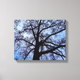 Impressão Em Tela A beleza da natureza