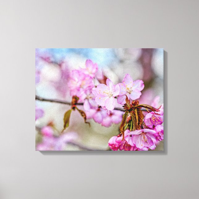 Impressão Em Tela A Beleza Suave das Flores de Sakura na Primavera (Frente)