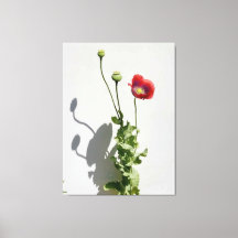 A beleza também é a Besta.