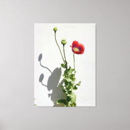 Impressão Em Tela A beleza também é a Besta.