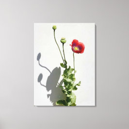 Impressão Em Tela A beleza também é a Fera.