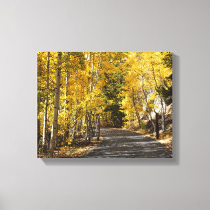 Impressão Em Tela A Estrada Atravessa os Aspens