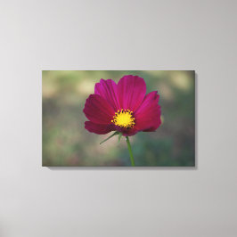 Impressão Em Tela A flor perfeita da irmã