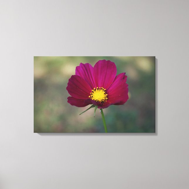 Impressão Em Tela A flor perfeita da irmã (Frente)