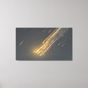 Impressão Em Tela A incrível queda do SpaceX - Arte Icônica de Canva