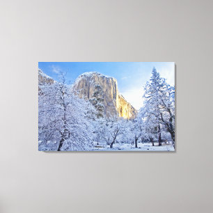 Impressão Em Tela A luz do sol atinge El Capitan com neve