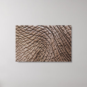 Impressão Em Tela A pele de elefante africano (africana do