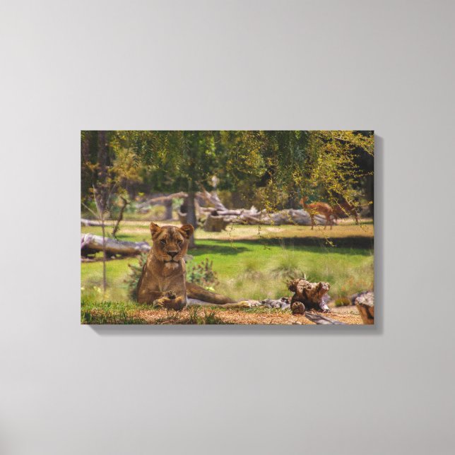 Impressão Em Tela A Rainha (Frente)